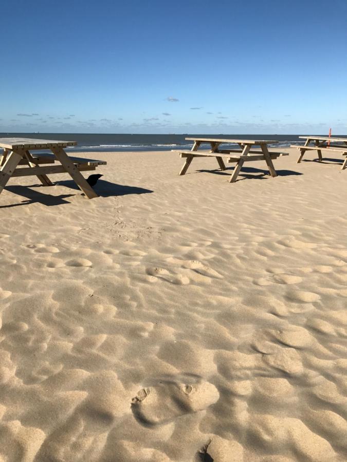 Boutique Hide & Seek, Bed & Beach Bed and Breakfast Haag Exteriör bild