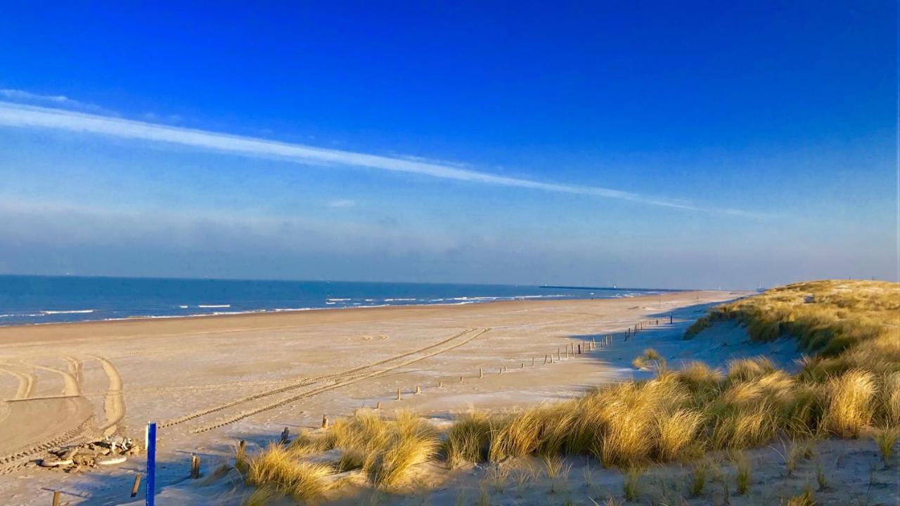Boutique Hide & Seek, Bed & Beach Bed and Breakfast Haag Exteriör bild