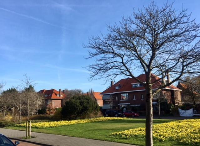 Boutique Hide & Seek, Bed & Beach Bed and Breakfast Haag Exteriör bild